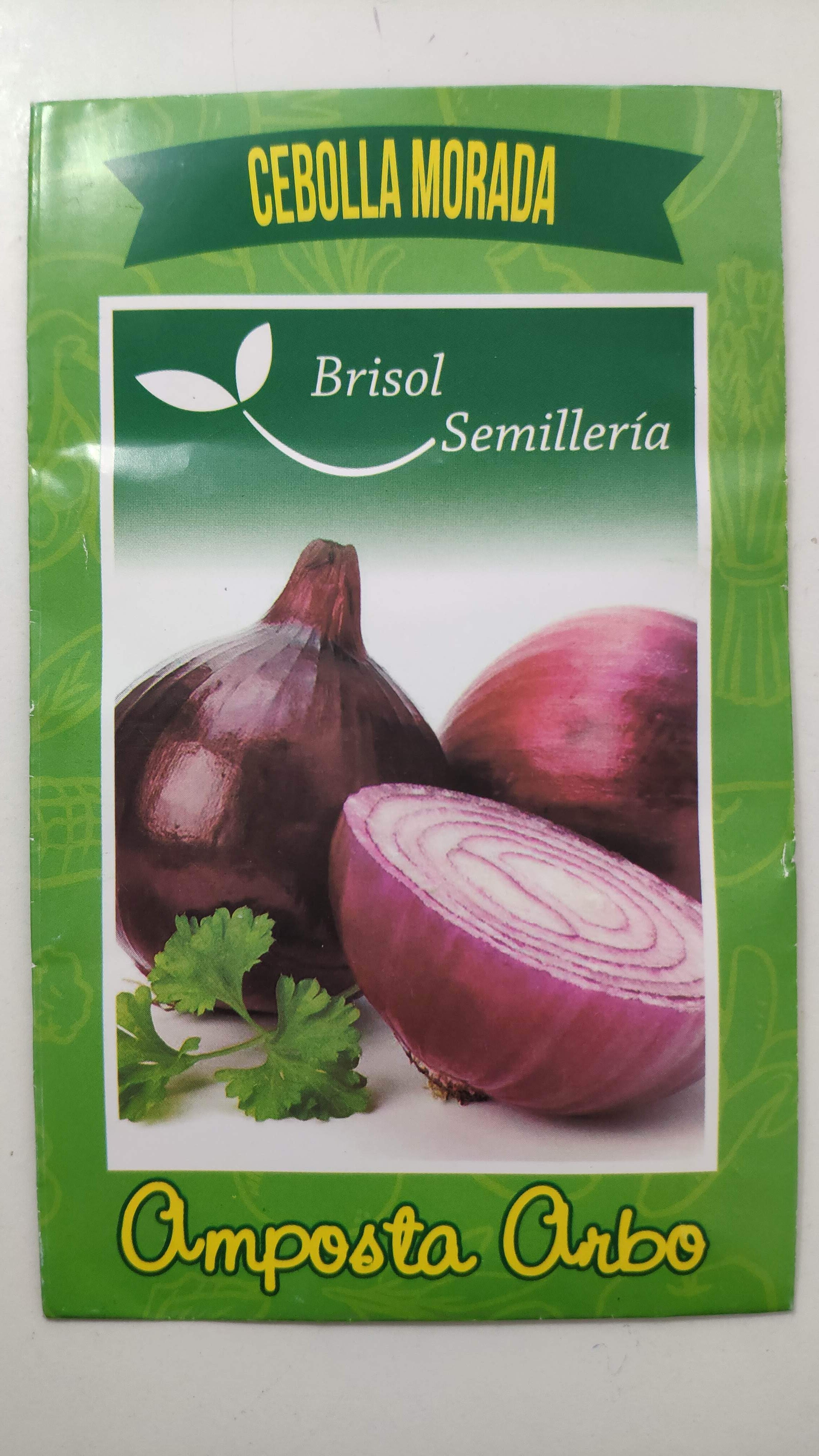 Semillas De Cebolla Morada Amposta Arbo Brisol Semillas Libres De