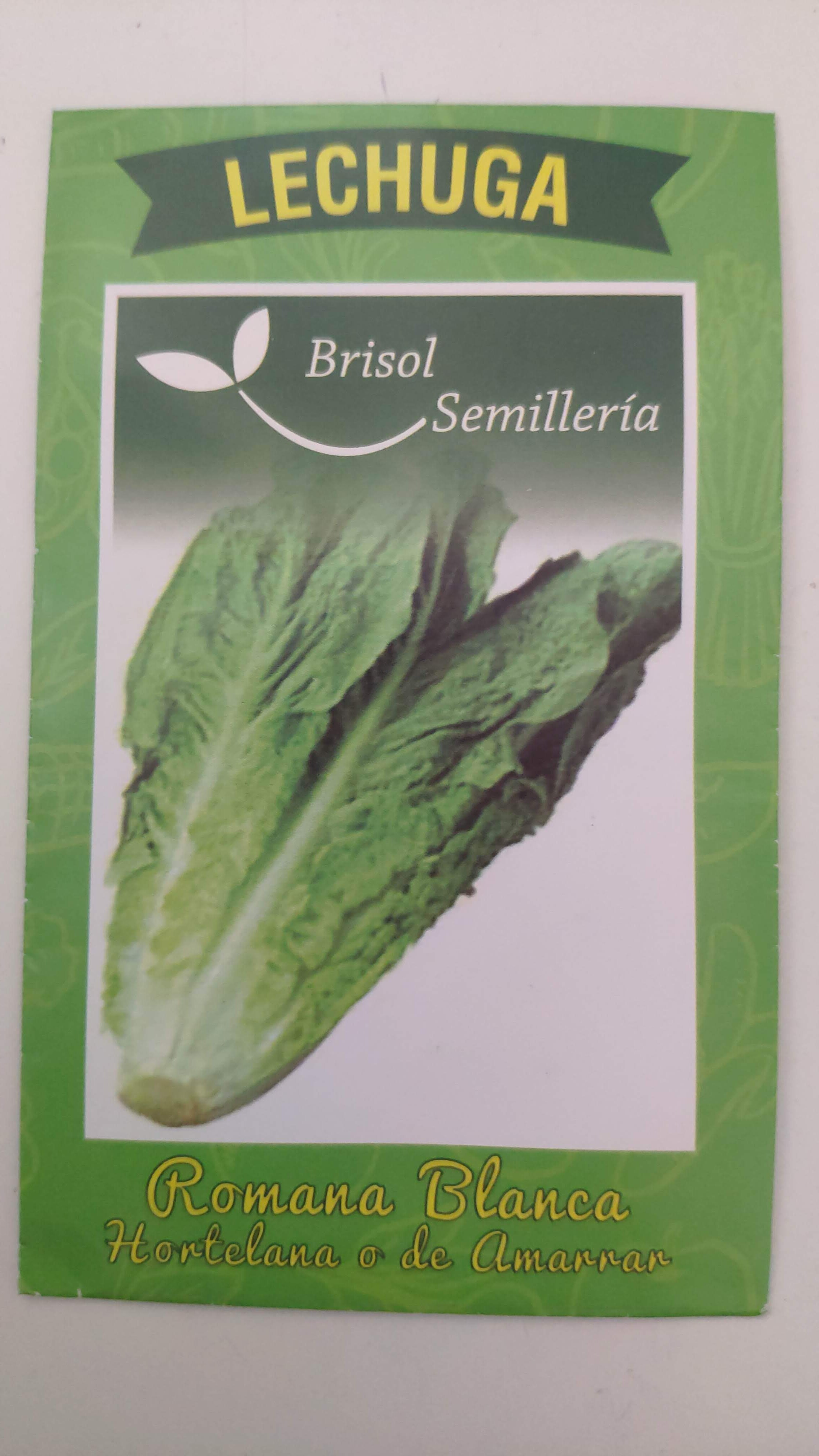 Semillas De Lechuga Romana Hortelana Brisol Semillas Libres De